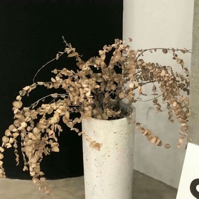 Furry插画细节设计福瑞交流群